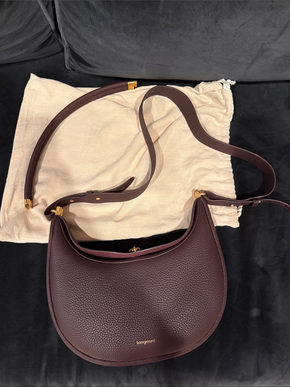 Songmont Crescent Shoulder Bag in Burgundy - Picture 5 of 6